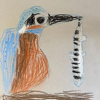 Oiseau aux pastels secs